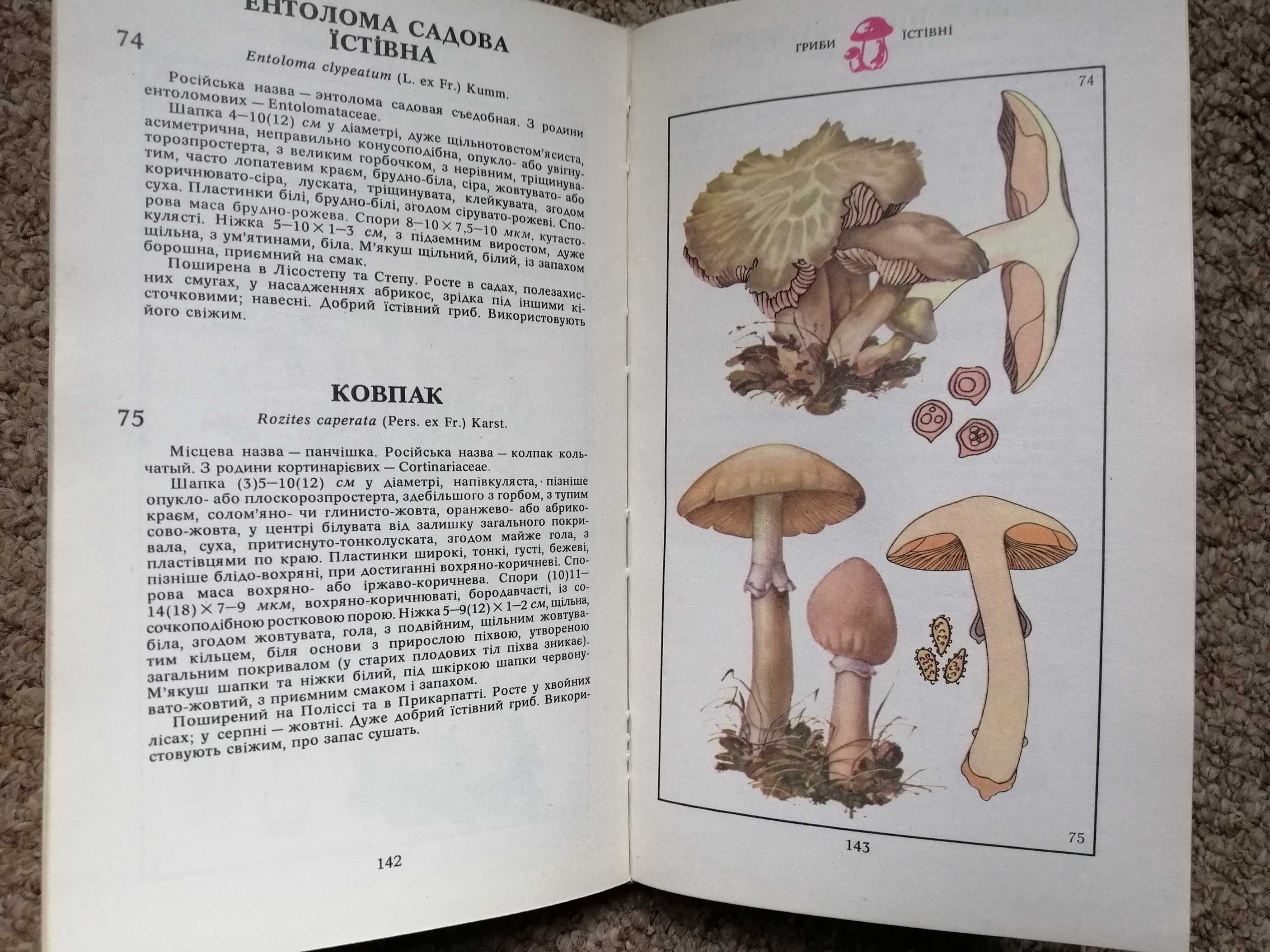 Книга Гриби Київ 1979