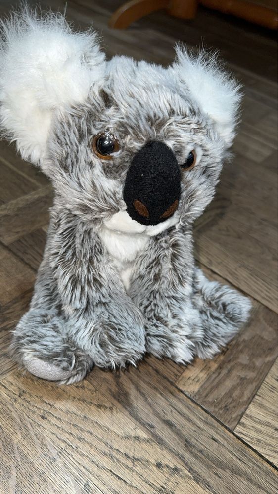 Maskotka koala.