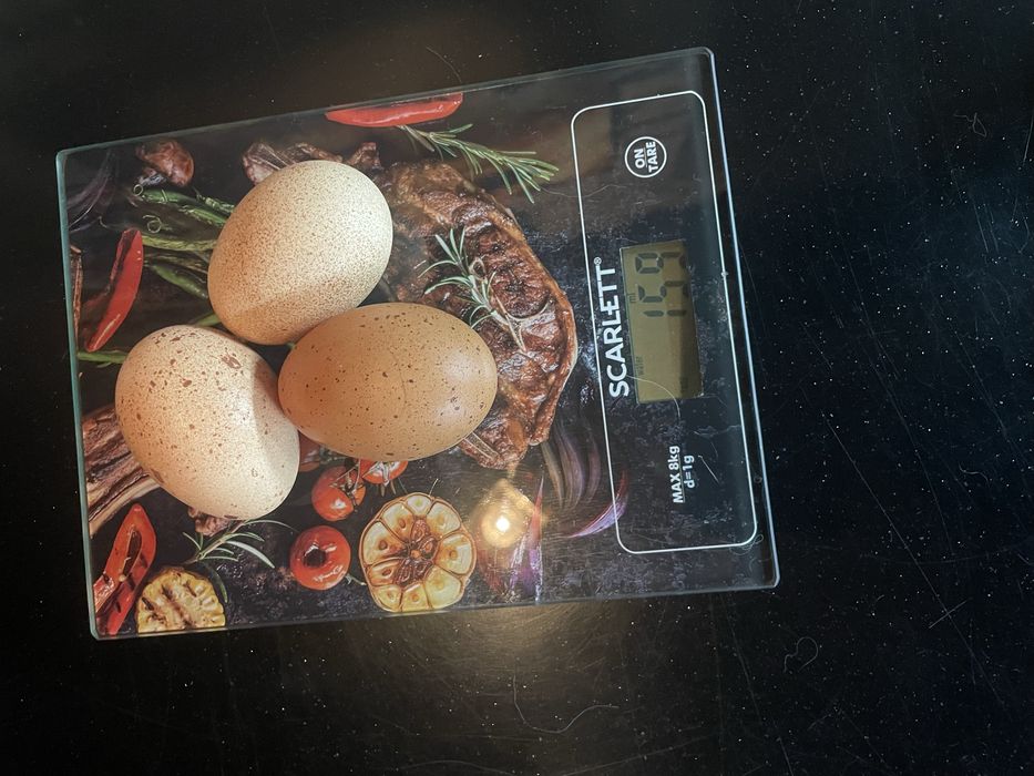 Домашнее куриное яйцо