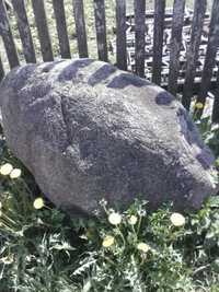 Kamień Głaz na skalniak