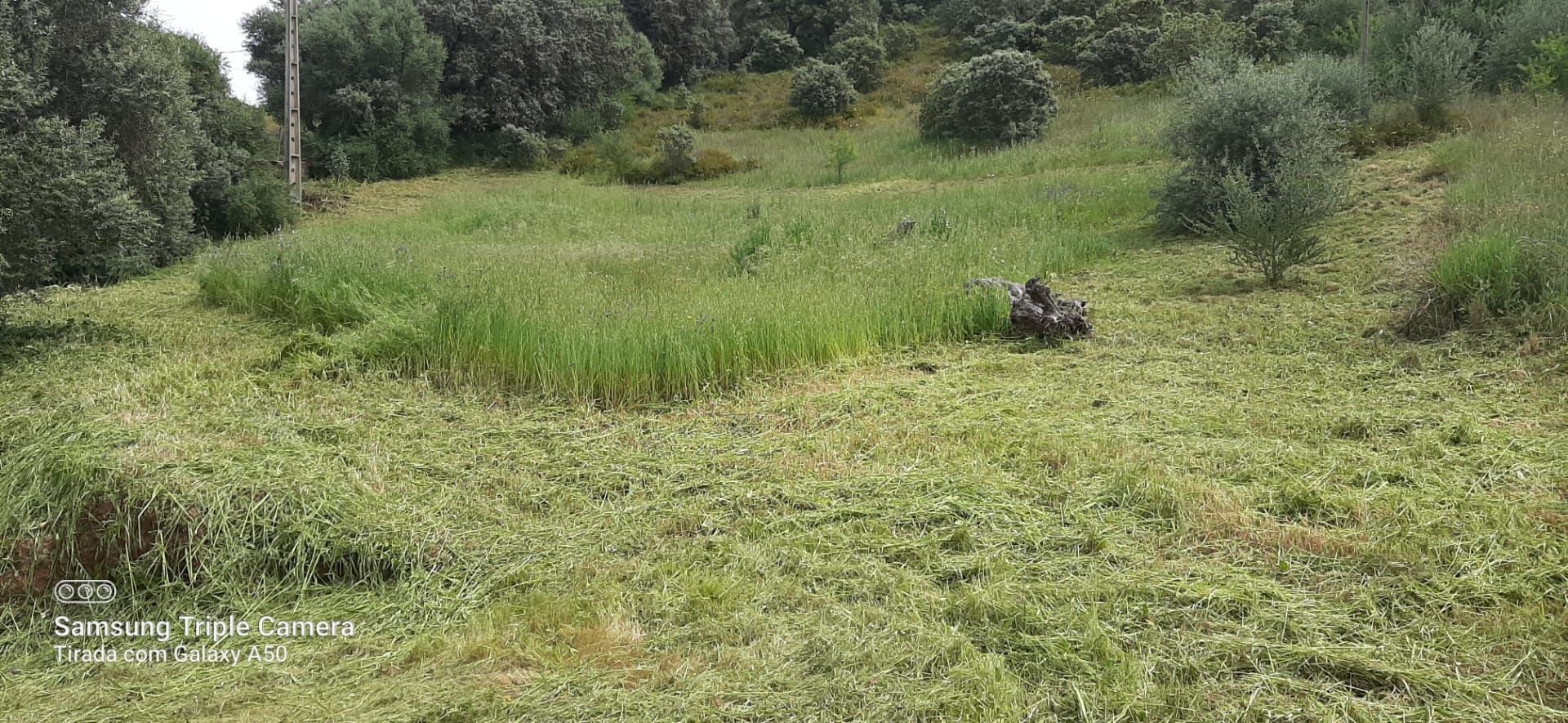 Serviço de limpeza de terrenos