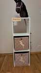 Stajnia Hobby Horse