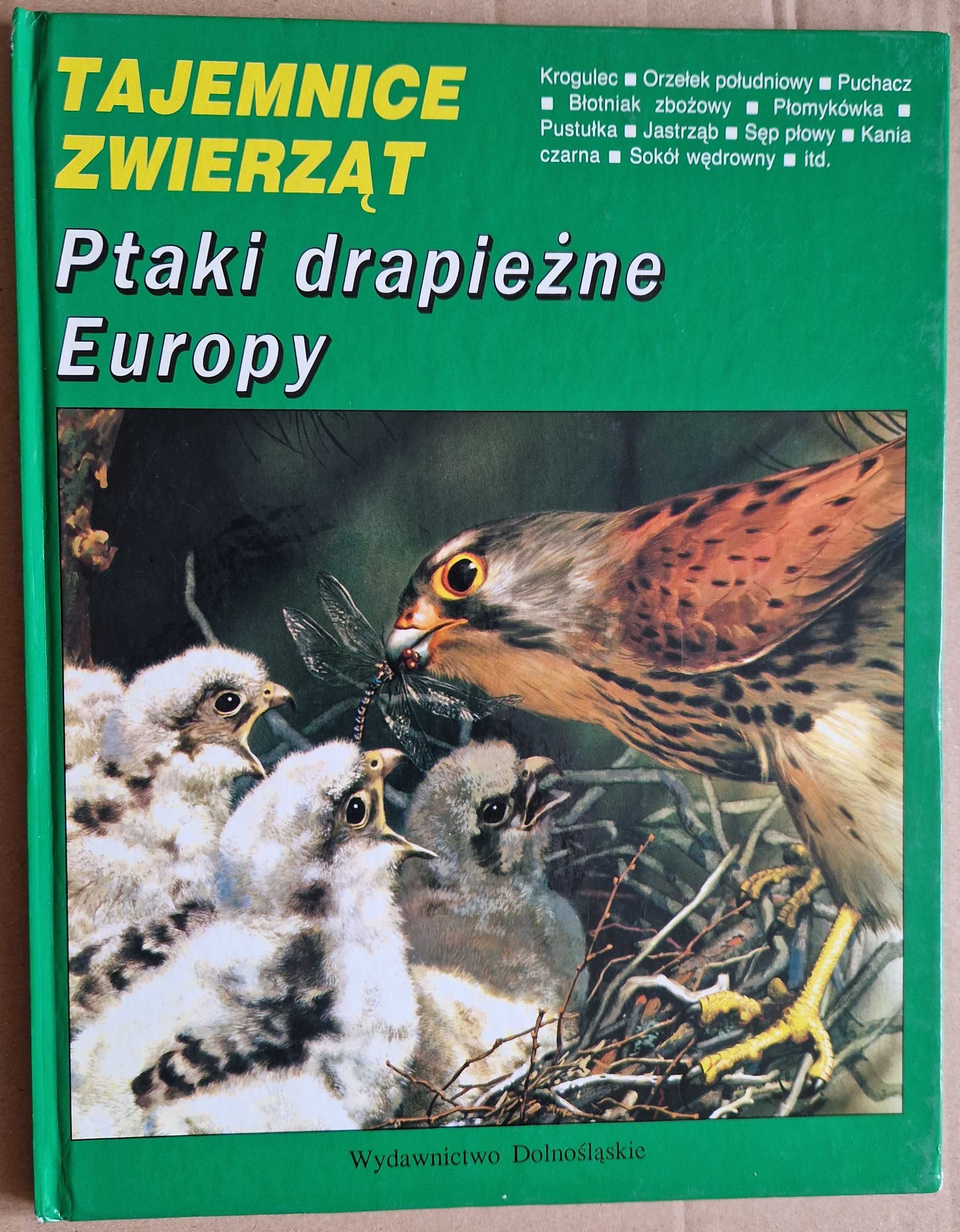 Ptaki drapieżne Europy Tajemnice zwierząt Michel Cuisin