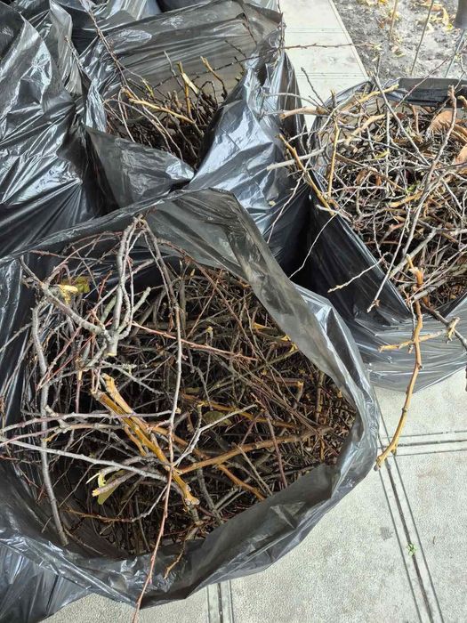 Віддам безкоштовно гілля, дрова,гілки на розпалку.Самовивіз