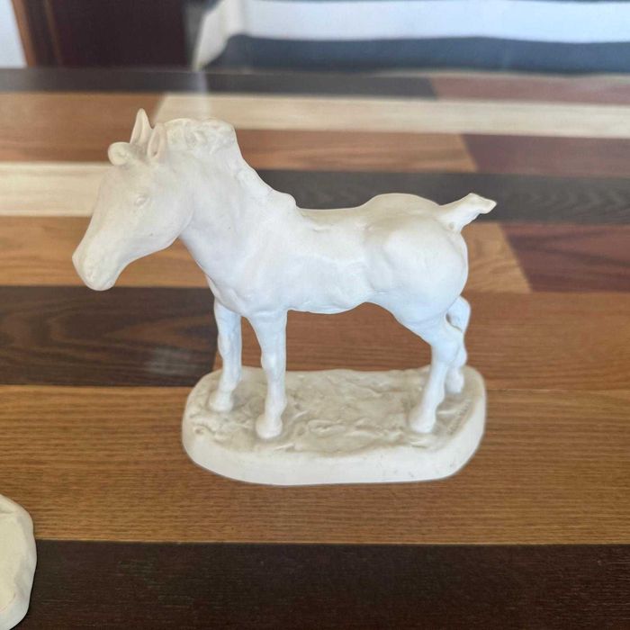 2 Poldros Vista Alegre (Delfim Maya)