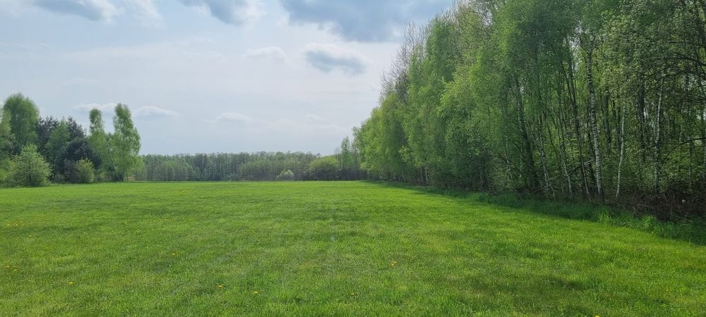 Działka budowlana Buczków, gmina Rzezawa, małopolskie