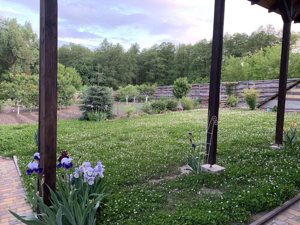 Продаж будинку зі зрубу (карпатська смерека), с. Мала Бугаївка.