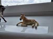 Figurki Schleich i Gry o koniach