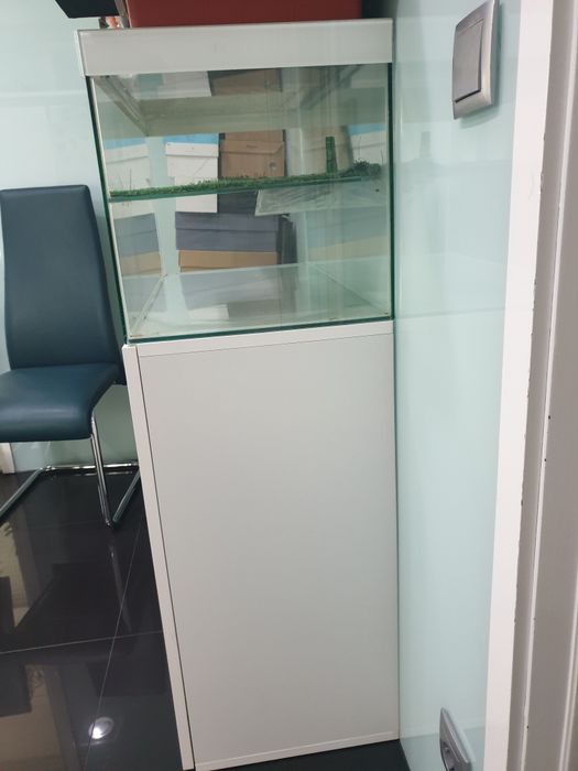 Aquário para tartaruga + móvel