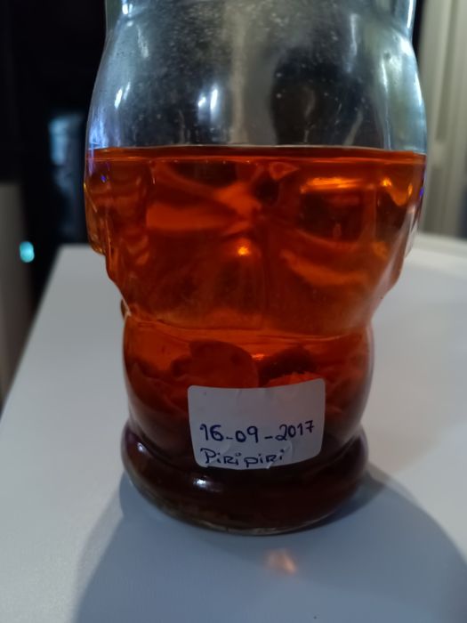 Piripiri caseiro com 7 anos