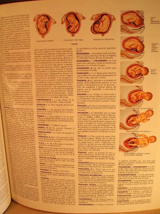 Dicionário enciclopédico La Rousse - 16 volumes em espanhol