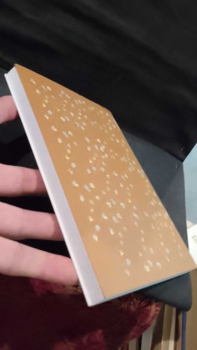 Alto aí! Contos da fronteira Transmontana - Jorge Tuela