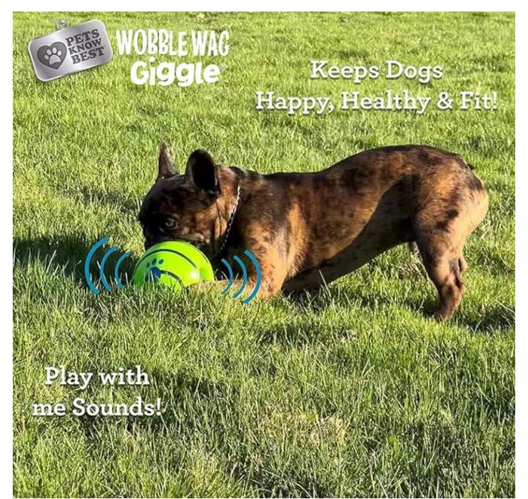Мяч Игрушка Игрушка для собак 12 см М’яч Wobble Wag Giggle Ball AND-98