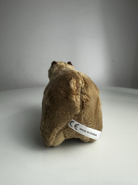 Nowa uśmiechnieta kapibara