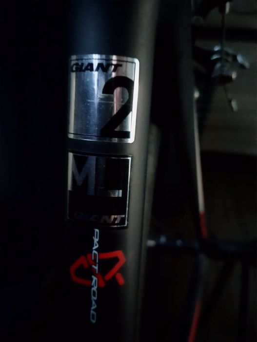 Giant TCR Composite 2 (2014)