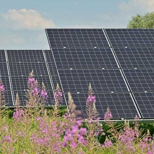 Sprzedaż projektu farmy fotowoltaicznej o mocy 1 MW