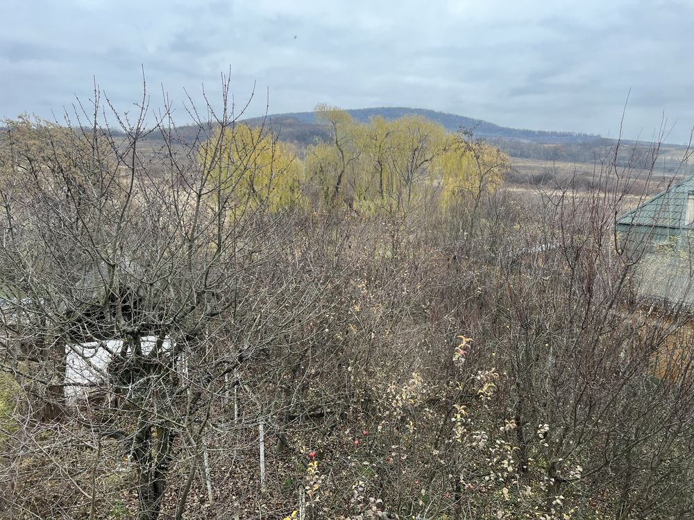 Дім 342 м2 ділянка 10 сотин Берегово Виноградна