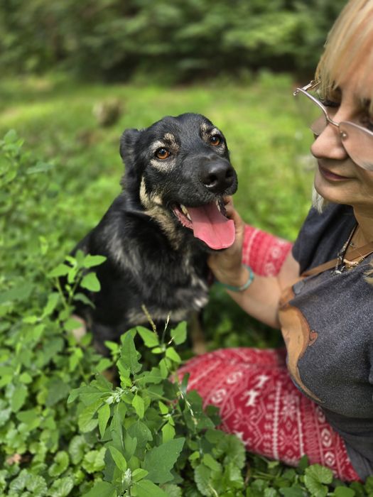 Песик в добрі ручки!