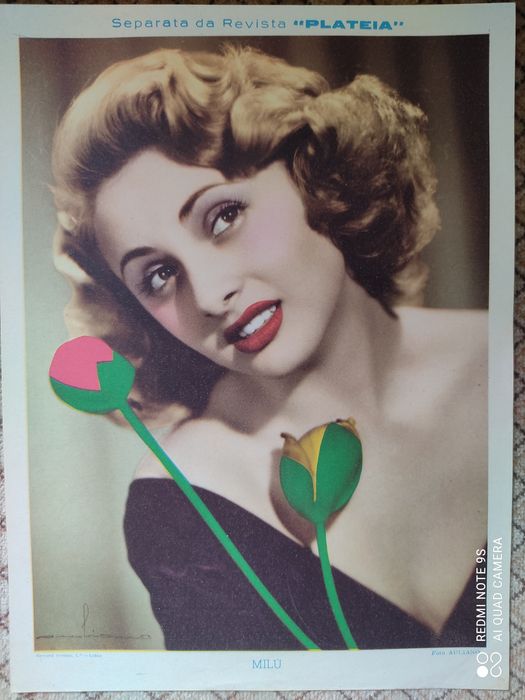 Separatas Revista Plateia anos 50