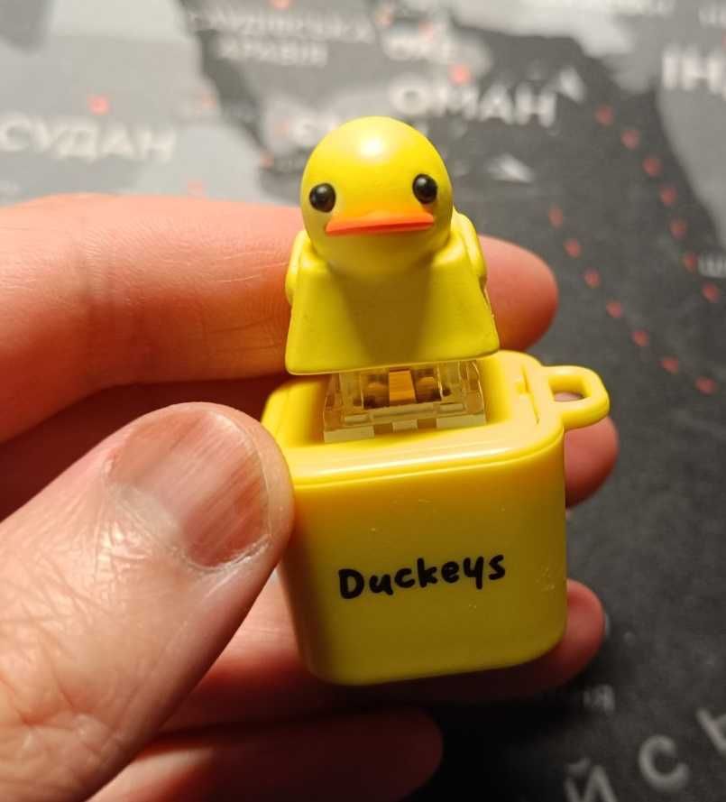 Quackey Fidget Toy Quacks фиджет антистресс игрушка брелок утка duck