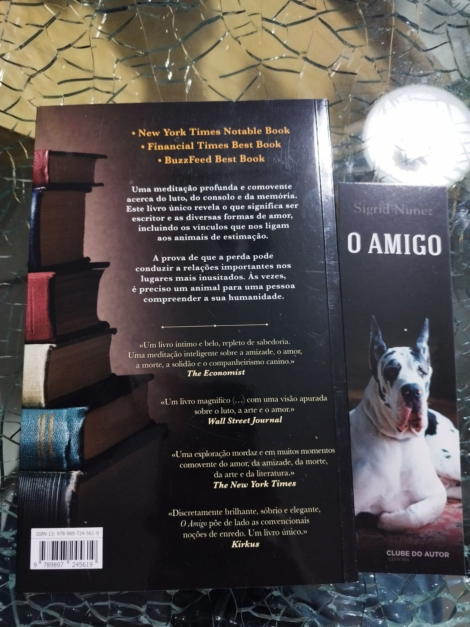 Livro " O amigo" de Sigrid Nunez