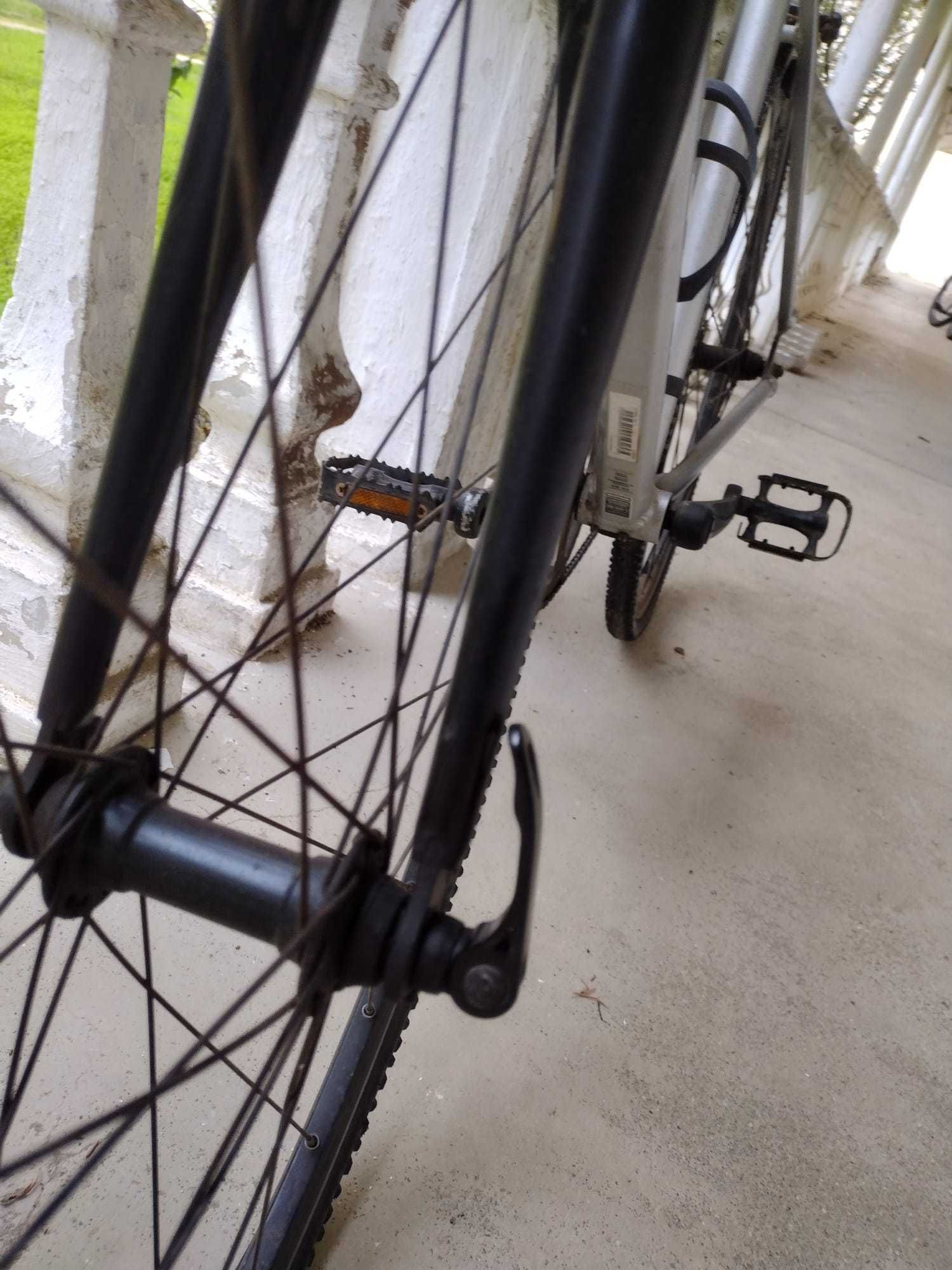 B Twin 100 TRIBAN
