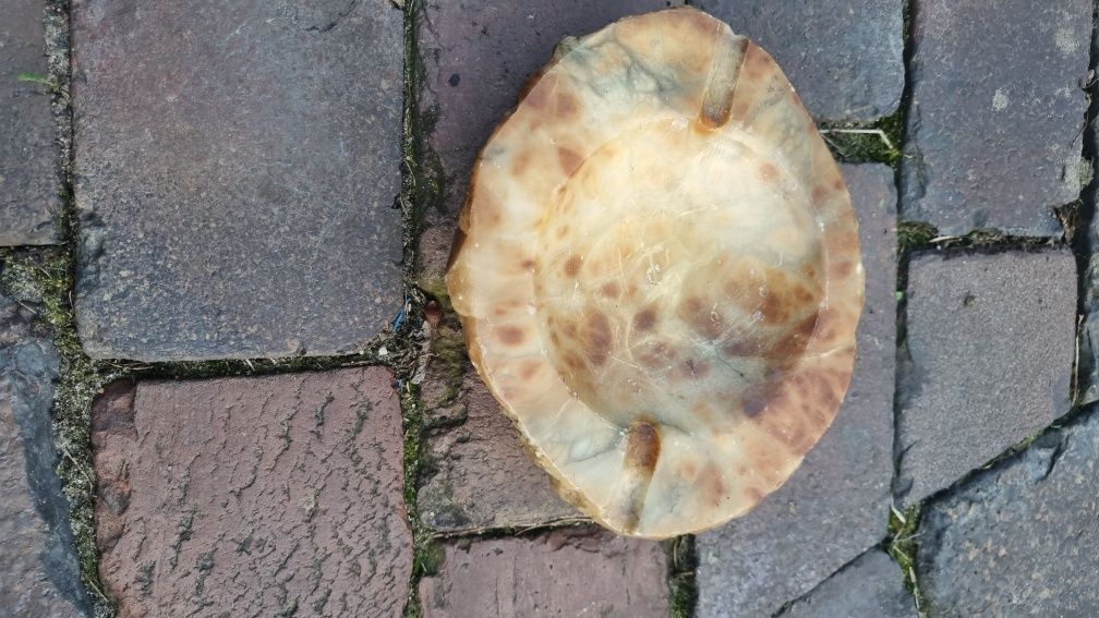 Piękna, stara, ręcznie wykonana alabastrowa włoska popielniczka .