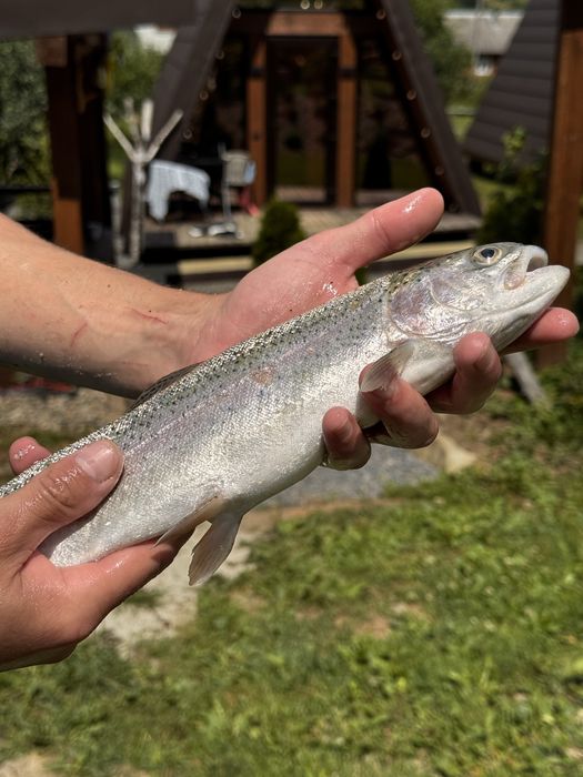Будиночок для відпочинку з риболовлею  (2+1) , Славсько