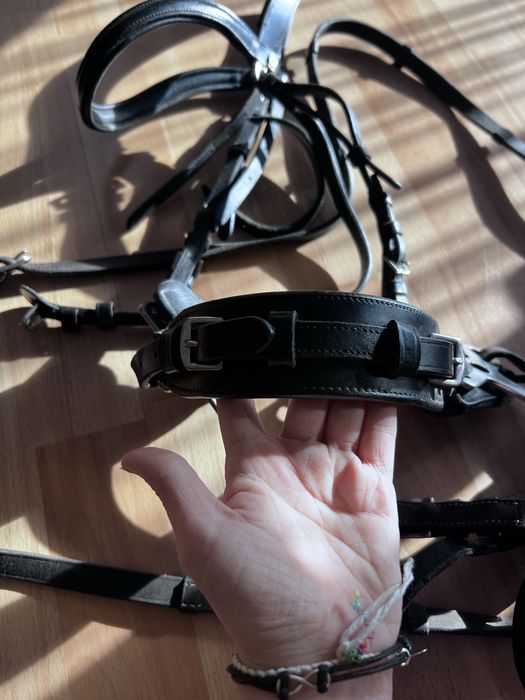 Kompletne ogłowie z hackamore