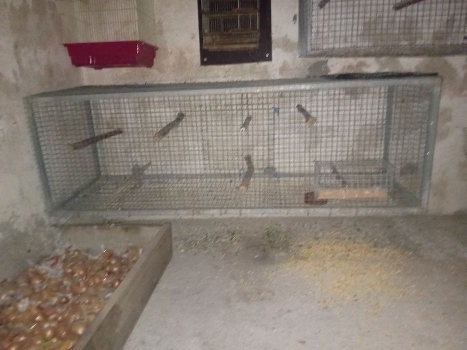 Vendo gaiolas ou troco por borrachos de pombos correios