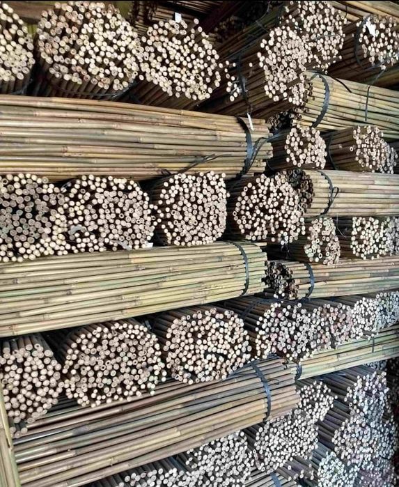 Tyczki Bambusowe 120 Cm 8/10 mm /500 Szt/