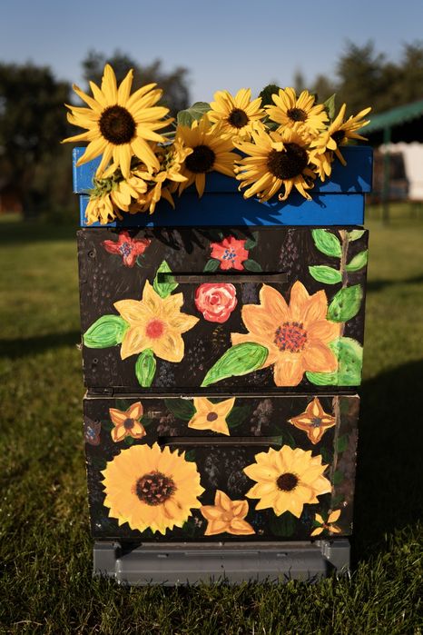 Ul wielkopolski 10r zestaw dennica plastikowa 2x korpus powałka dach