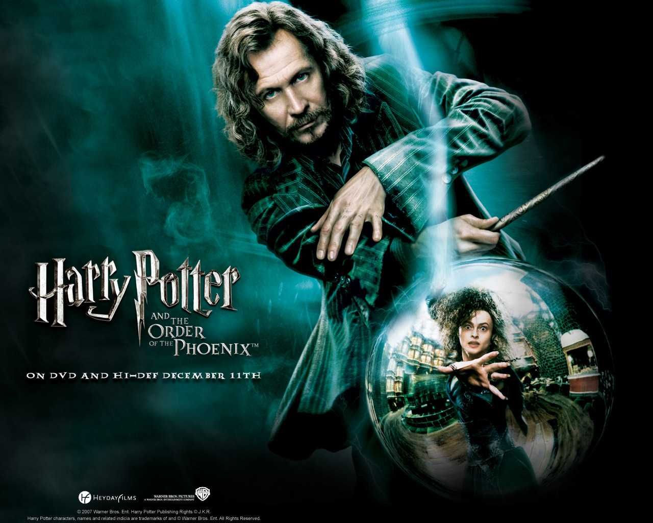 Harry Potter różdżka - właściciel: Syriusz Black (2)