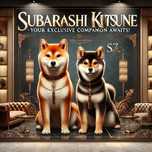 Śliczna biała Shiba Inu