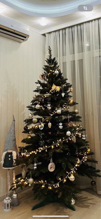 Продам Ялинку, ялинка