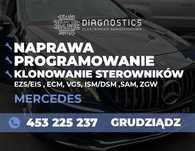 Elektronika Mercedes Naprawa/Klonowanie/Odnawianie sterowników