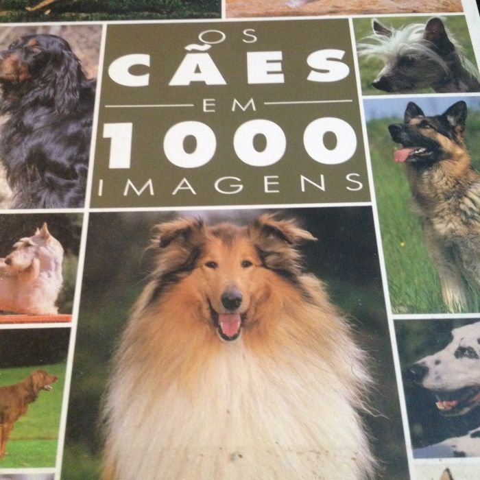 Livro corpo humano e Cem imagens de cães