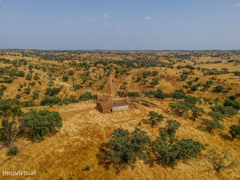 Herdade em Vila Nova de São Bento | 172 hectares