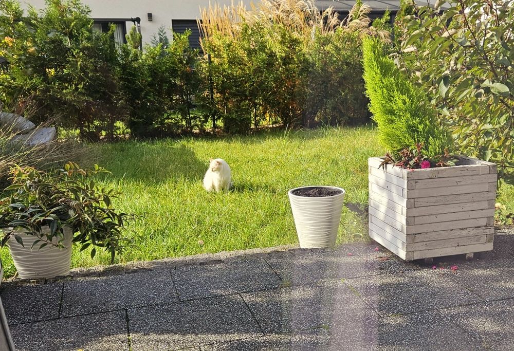 REZERWACJA Mieszkanie bezczynszowe Chojny Park
