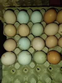 Jajka wiejskie:)