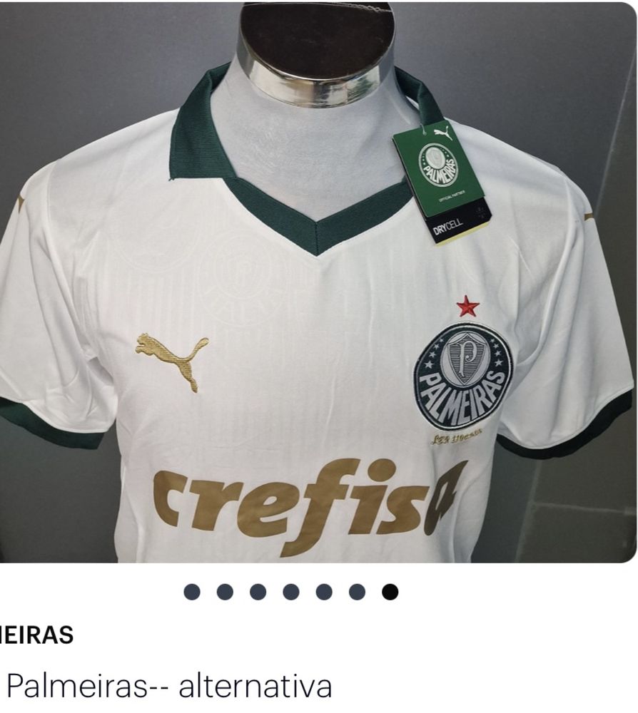 Camisola Palmeiras Paga 1 leva 2