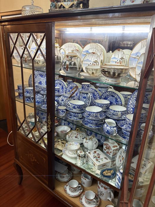 Vitrine Expositor Eletrificada