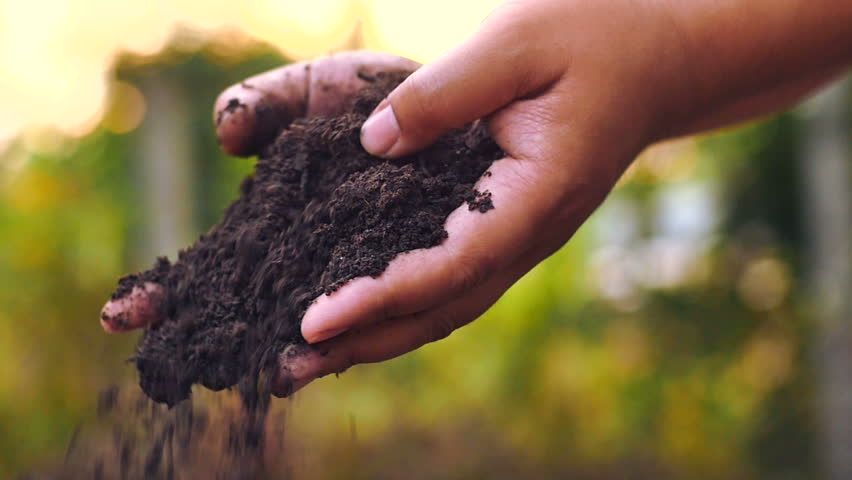 Ziemia ogrodowa 1 gatunek humus torf kamień kostka Żwir kora