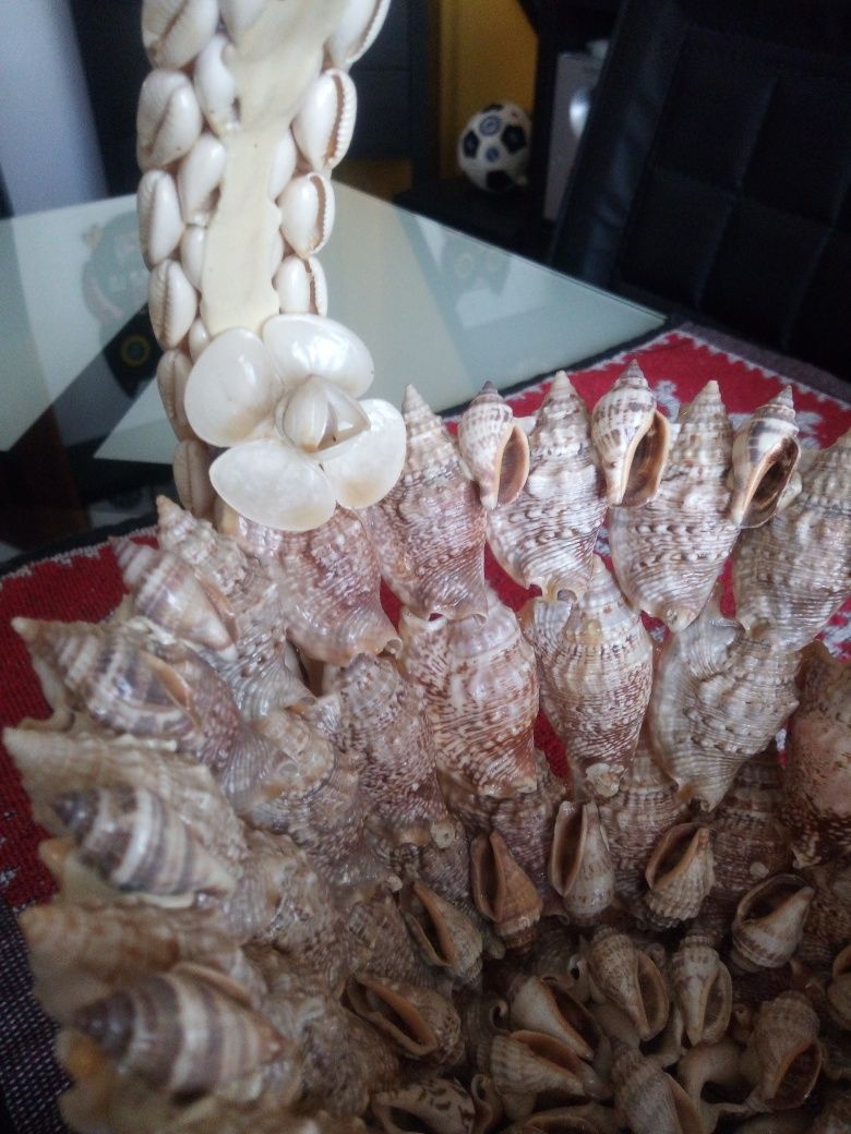 Cesto artesanal artesanato com conchas e búzios