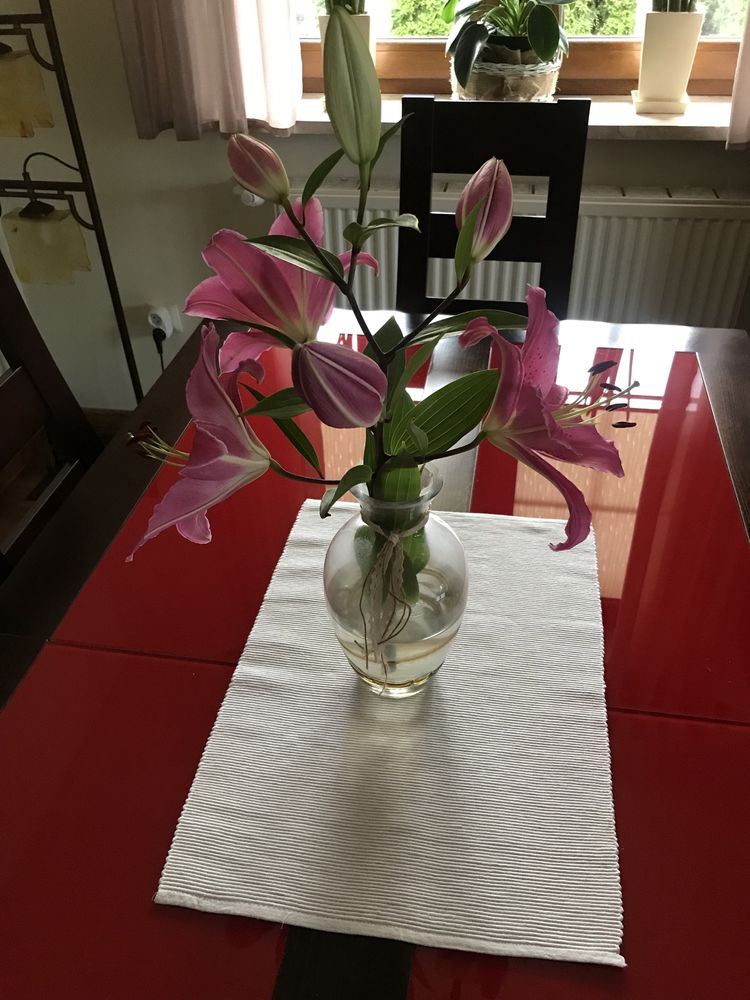 Komplet mebli do salonu brw KOEN