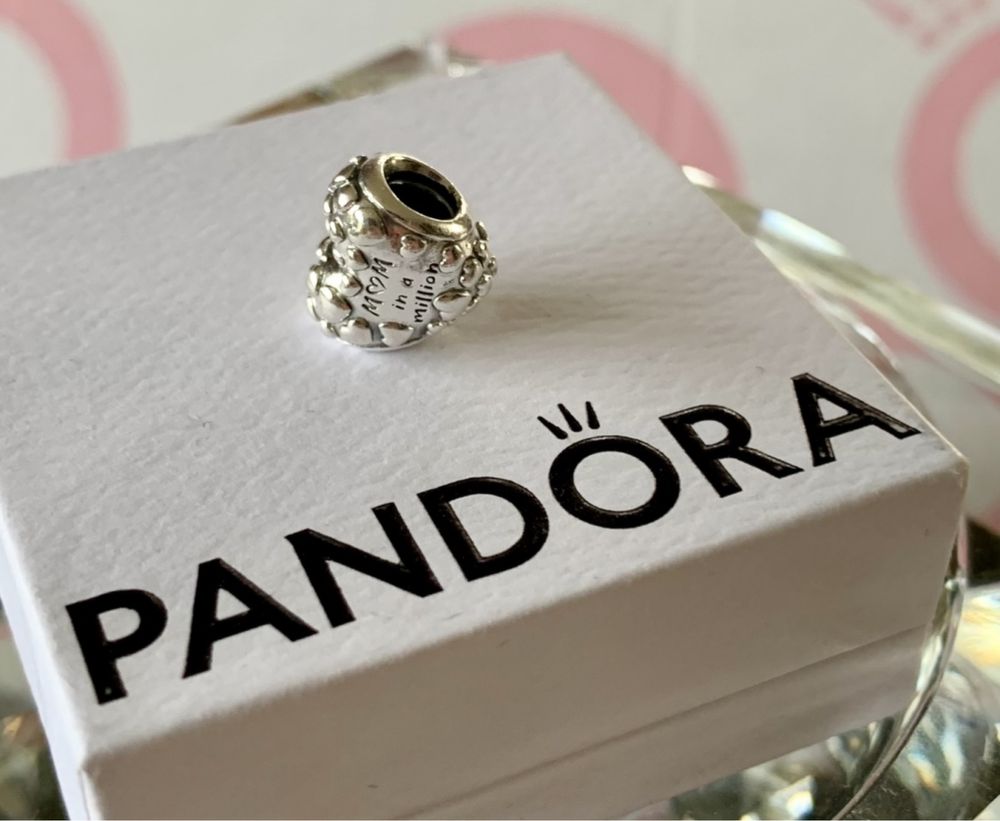 Pandora Charms Nowy