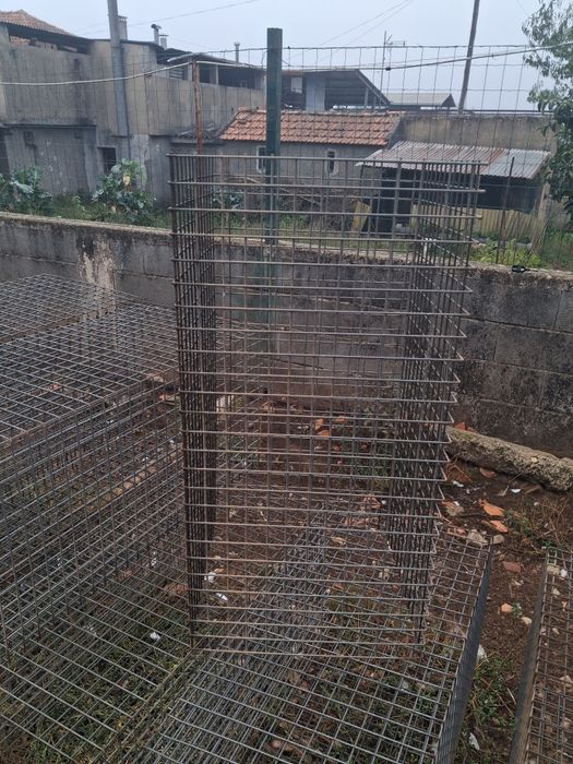 Grandes protecção de árvores