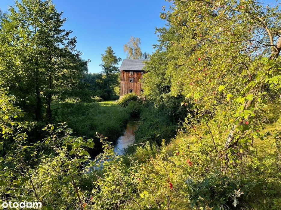 Siedlisko 5ha z młynem w dorzeczu Bugu