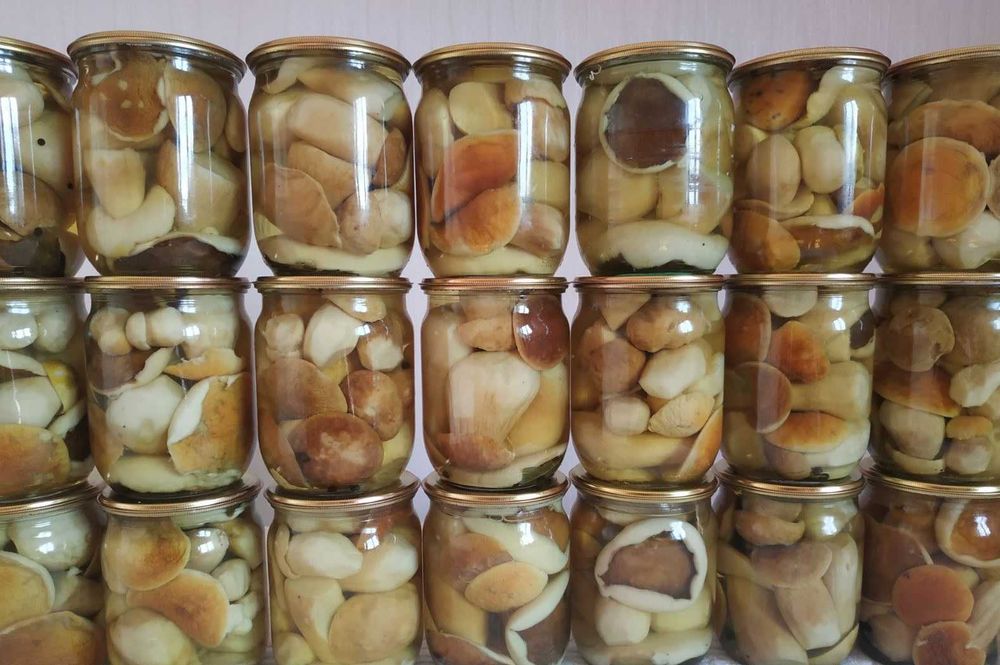 Опеньки мариновані великий асортмент маринованих грибочків