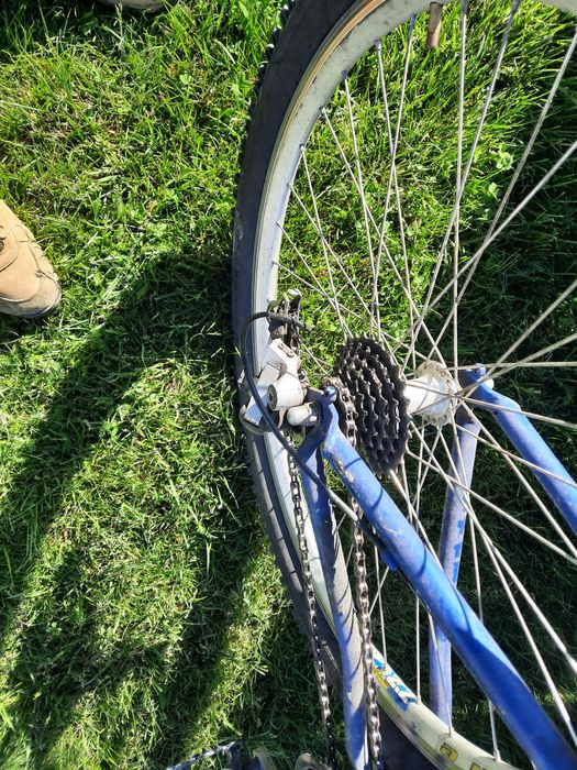 Rower CONWAY 26 cali